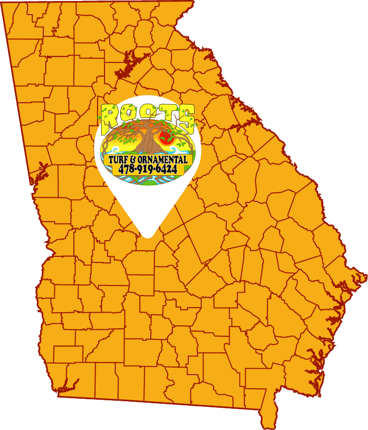 georgia map