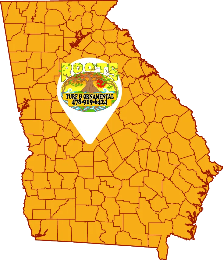 georgia map