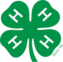 four leaf clover